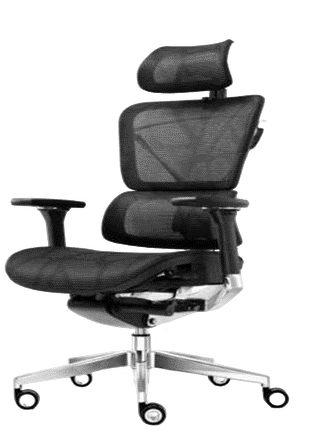 INOX Chair – Ergonomic Office Chair