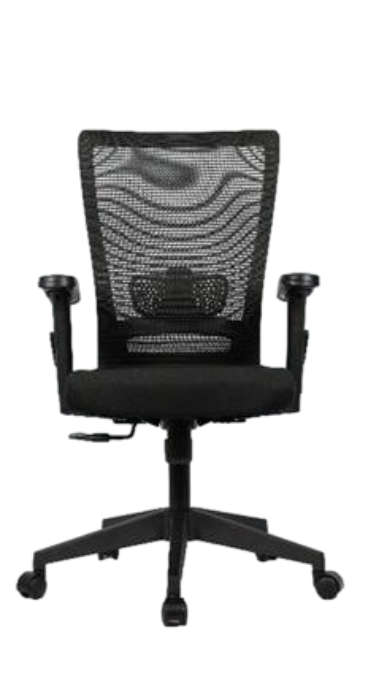 Mystic MB – Mid Back Ergonomic Chair
